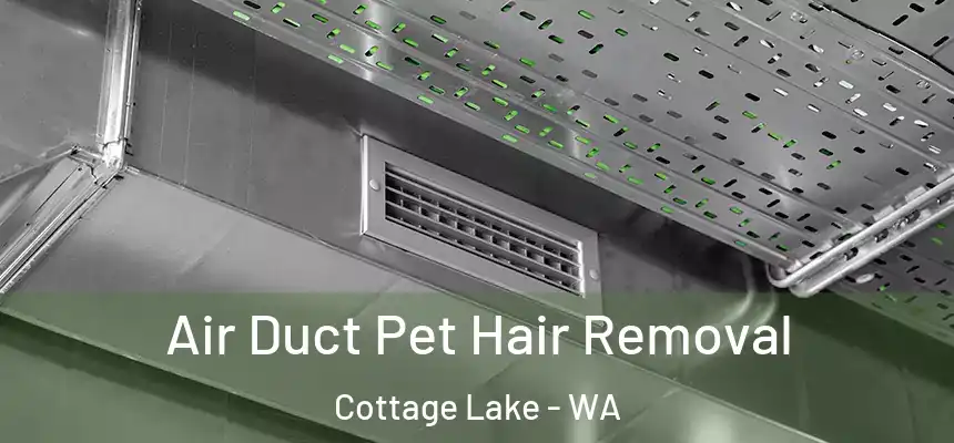  Air Duct Pet Hair Removal Cottage Lake - WA