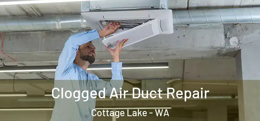 Clogged Air Duct Repair Cottage Lake - WA