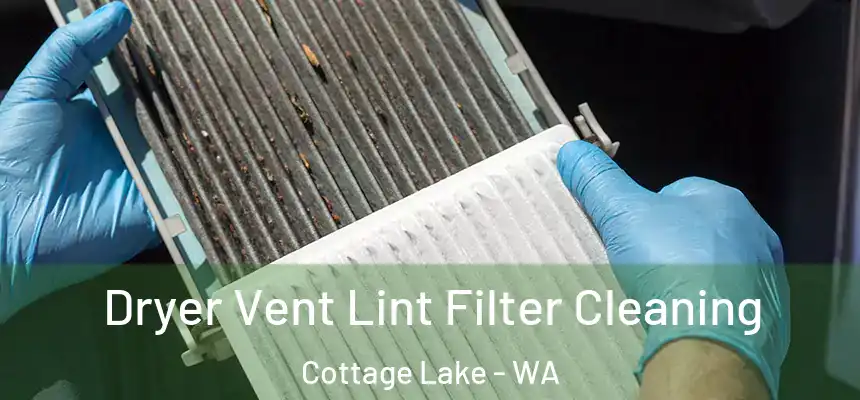 Dryer Vent Lint Filter Cleaning Cottage Lake - WA