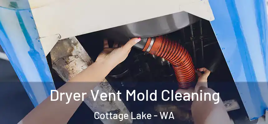  Dryer Vent Mold Cleaning Cottage Lake - WA