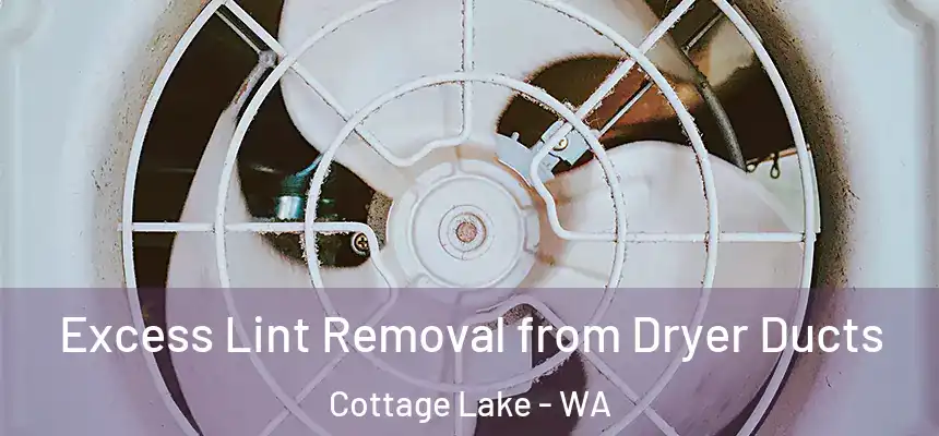 Excess Lint Removal from Dryer Ducts Cottage Lake - WA
