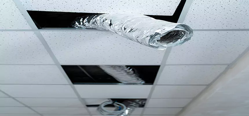 Our Air Duct Pet Hair Removal Services in Cottage Lake, WA