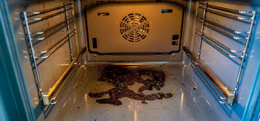 Our Dryer Vent Mold Cleaning Services in Cottage Lake, WA