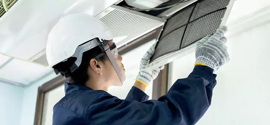 Our Mold & Mildew Removal from Air Ducts Services in Cottage Lake, WA