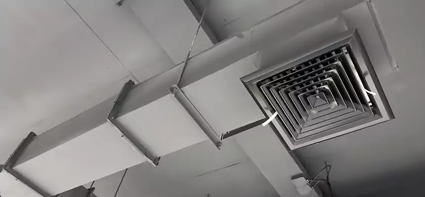 Our Rodent Droppings In Vents Services in Cottage Lake, WA