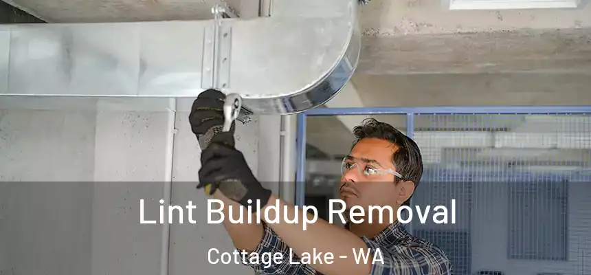  Lint Buildup Removal Cottage Lake - WA