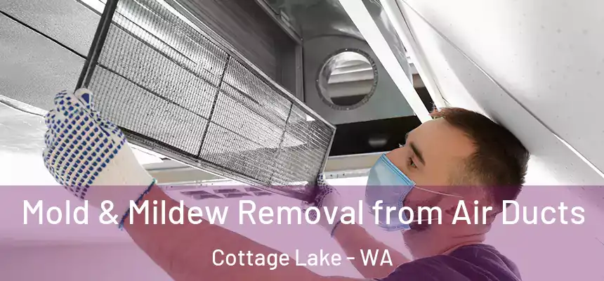  Mold & Mildew Removal from Air Ducts Cottage Lake - WA