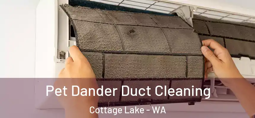 Pet Dander Duct Cleaning Cottage Lake - WA