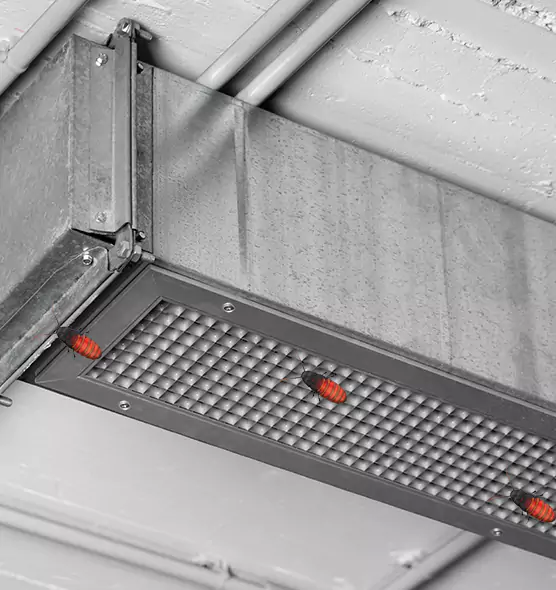About Air Duct Cockroach Removal in Cottage Lake, WA
