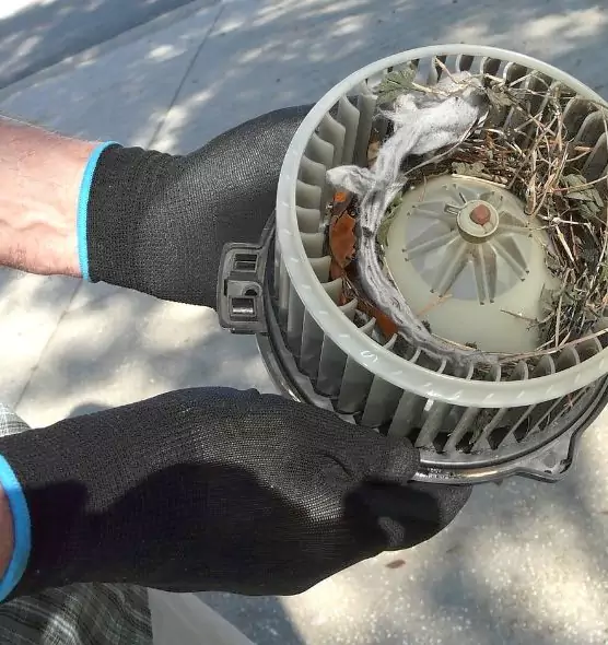 About Air Duct Rat Removal in Cottage Lake, WA