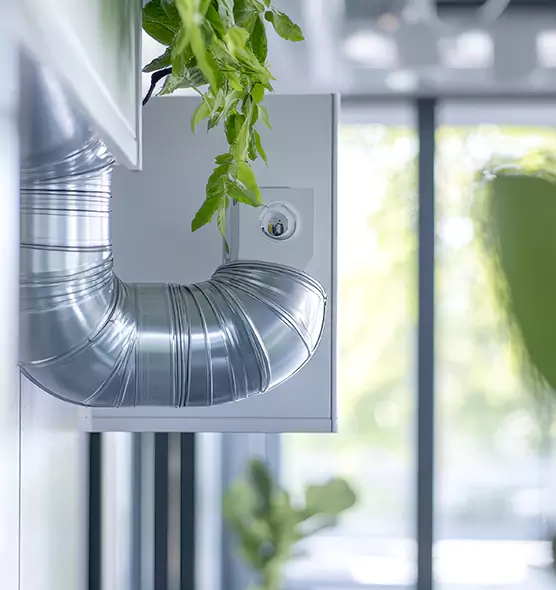 Professional Eco-Friendly Duct Cleaning Services in Cottage Lake, WA