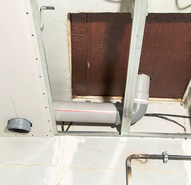 Why Homeowners & Businesses Trust Us in Cottage Lake, WA?