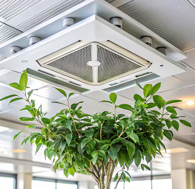 Why Homeowners & Businesses Trust Us in Cottage Lake, WA